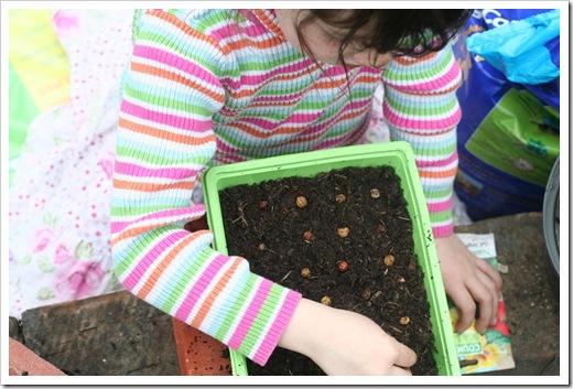 gardening