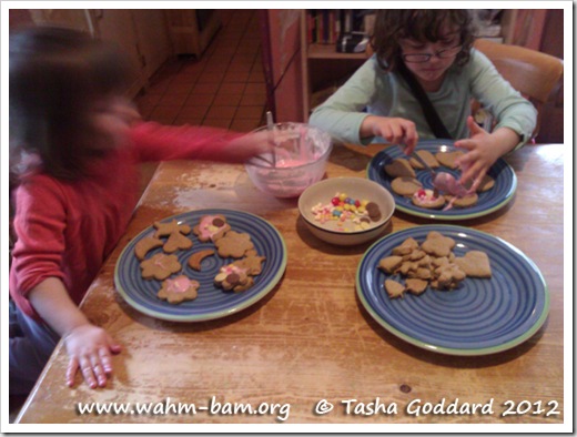 Baking biscuits: Icing biscuits (www.wahm-bam.org © Tasha Goddard 2012)