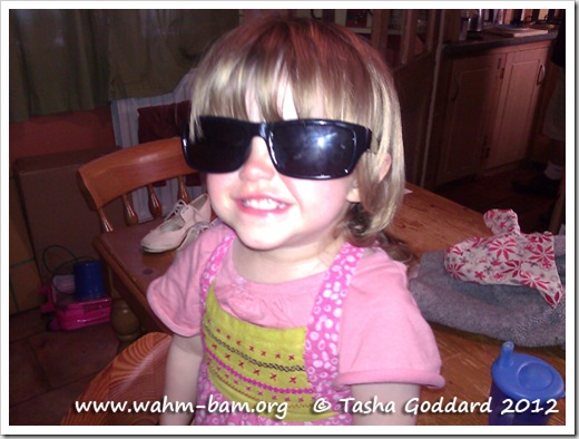 Pretend it's sunny: Put sunglasses on (www.wahm-bam.org © Tasha Goddard 2012)