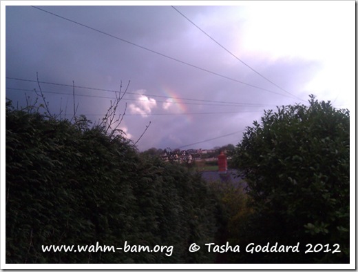 Look for a rainbow (www.wahm-bam.org © Tasha Goddard 2012)