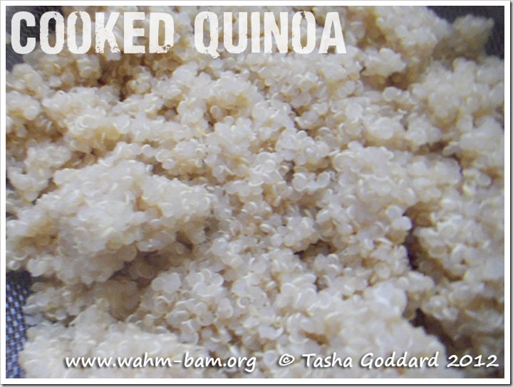 Cooked Quinoa