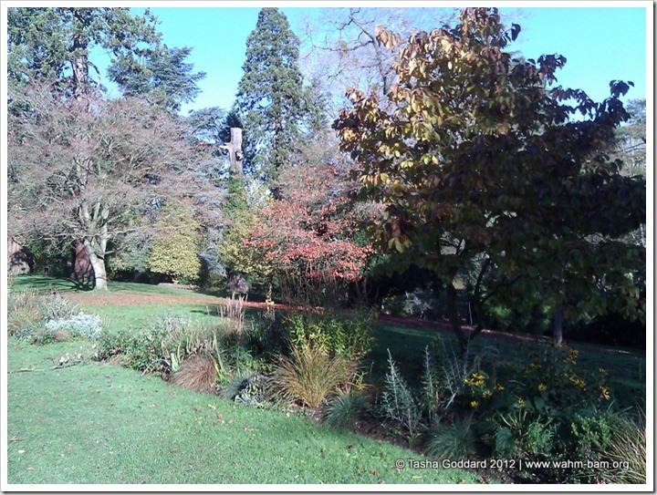 Stratford Park, Stroud   © Tasha Goddard 2012   www.wahm-bam.org