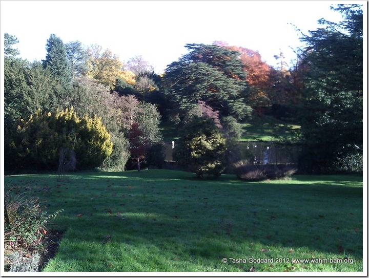 Autumn in Stratford Park, Stroud   © Tasha Goddard 2012   www.wahm-bam.org